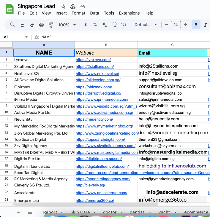 Lead Collecting and Cold Email & DM Outreach
